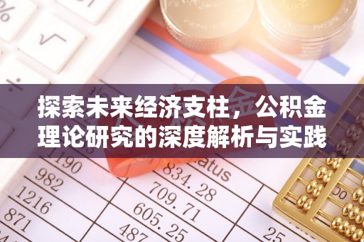 府谷探索未来经济支柱，公积金理论研究的深度解析与实践意义