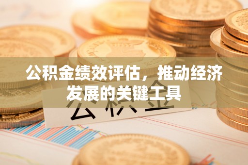 府谷公积金绩效评估，推动经济发展的关键工具