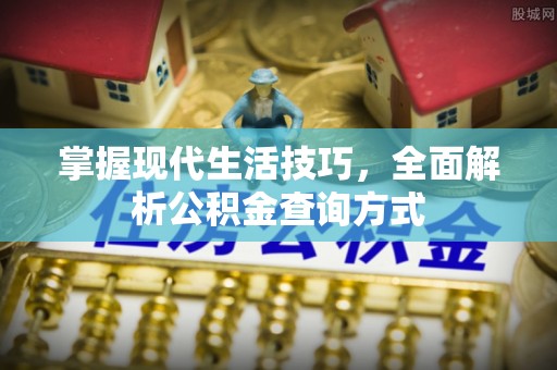 府谷掌握现代生活技巧，全面解析公积金查询方式