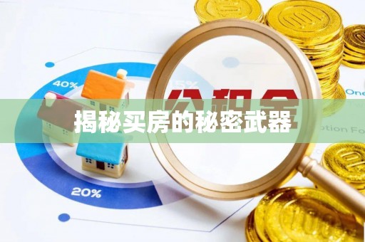 府谷揭秘买房的秘密武器