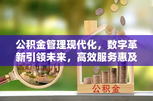 府谷公积金管理现代化，数字革新引领未来，高效服务惠及民生