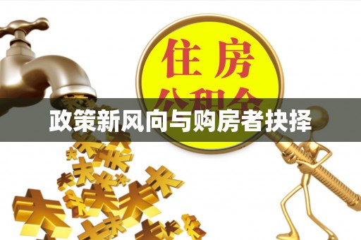 府谷政策新风向与购房者抉择