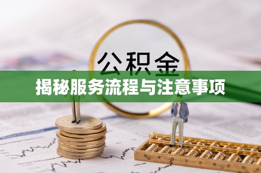 府谷揭秘服务流程与注意事项