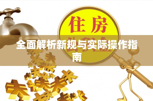 府谷全面解析新规与实际操作指南