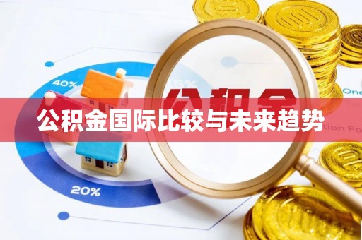 府谷公积金国际比较与未来趋势