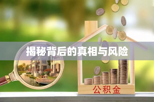 府谷揭秘背后的真相与风险