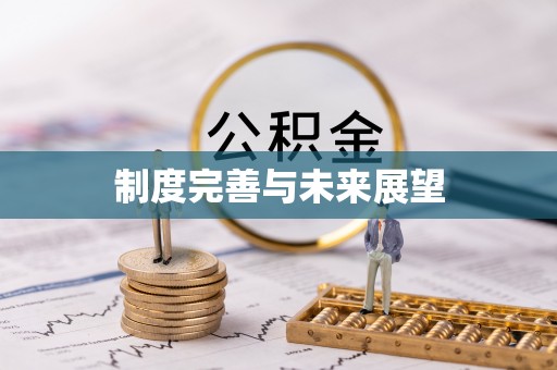府谷制度完善与未来展望