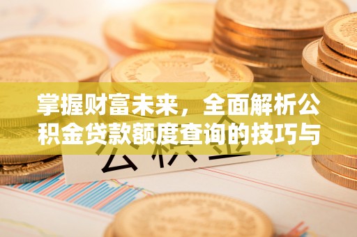 府谷掌握财富未来，全面解析公积金贷款额度查询的技巧与策略