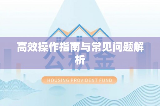 府谷高效操作指南与常见问题解析