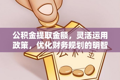 府谷公积金提取金额，灵活运用政策，优化财务规划的明智选择