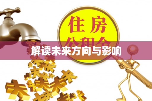 府谷解读未来方向与影响