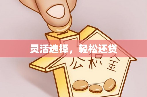 府谷灵活选择，轻松还贷
