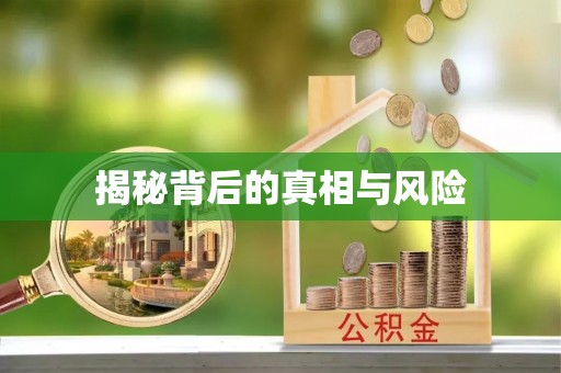 府谷揭秘背后的真相与风险