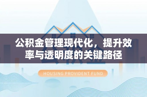 府谷公积金管理现代化，提升效率与透明度的关键路径