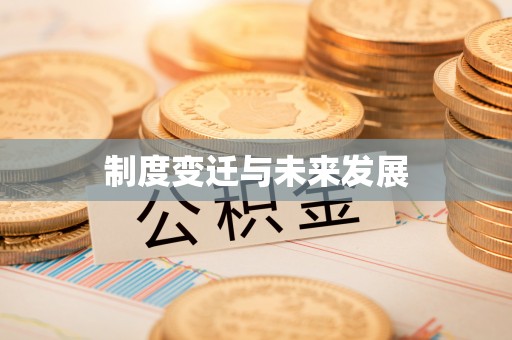 府谷制度变迁与未来发展