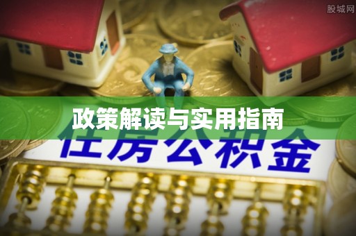 府谷政策解读与实用指南