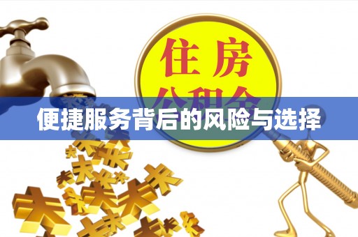 府谷便捷服务背后的风险与选择