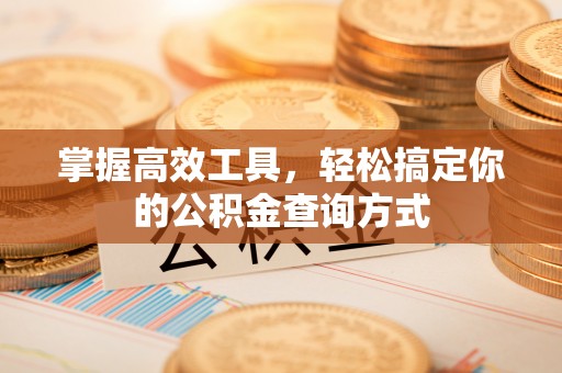 府谷掌握高效工具，轻松搞定你的公积金查询方式