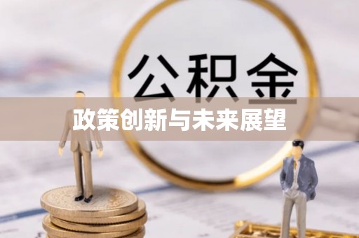 府谷政策创新与未来展望