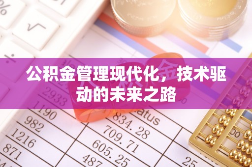 府谷公积金管理现代化，技术驱动的未来之路